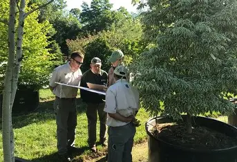 GreenLeaf Home Gardening